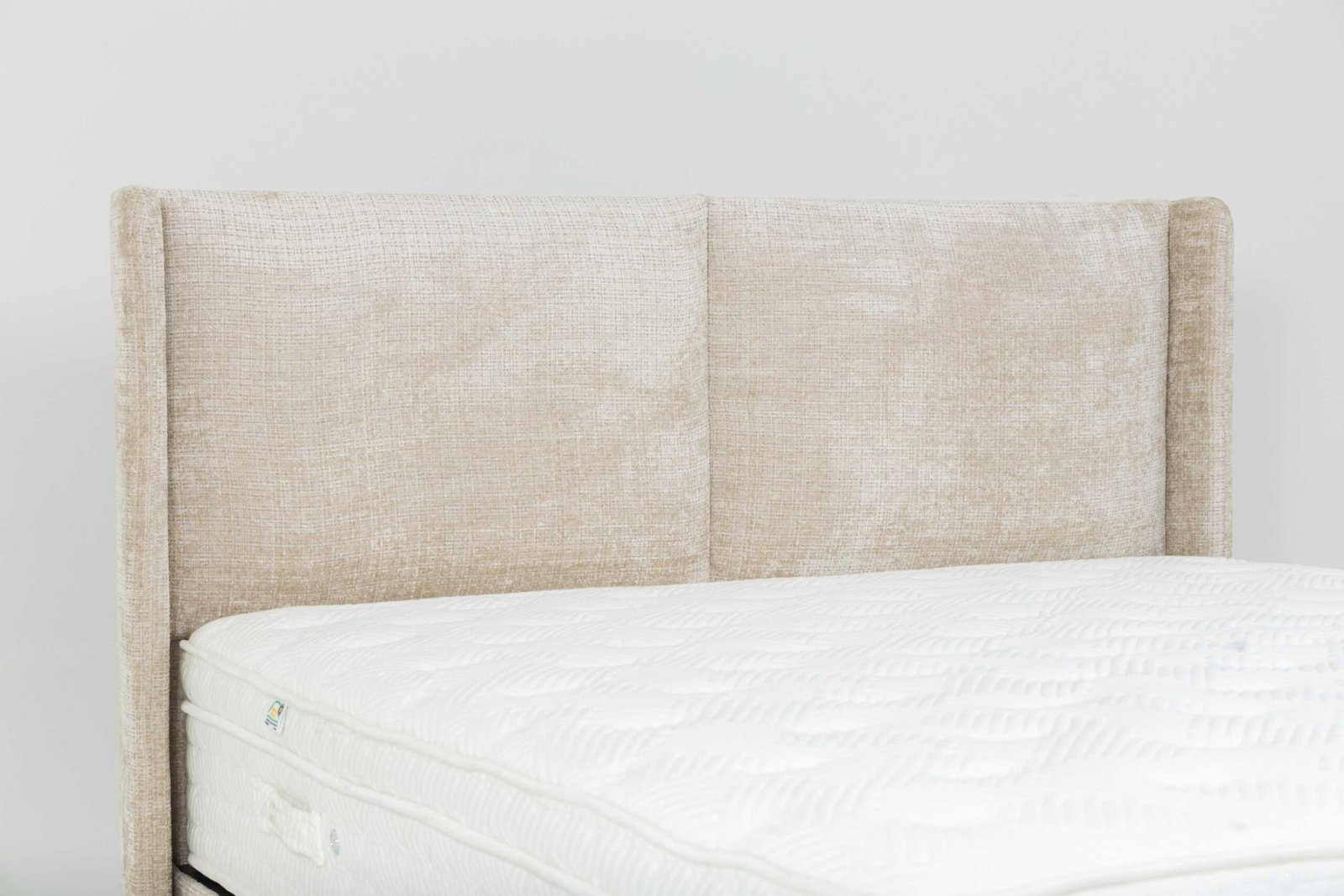 jpeg-optimizer_IG_49455